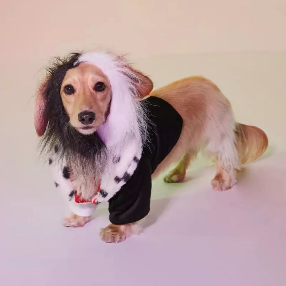 NWT Urban Outfitters Disney Cruella Deville dog costume Size S